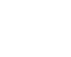 Dimitrios Pexaras logo white